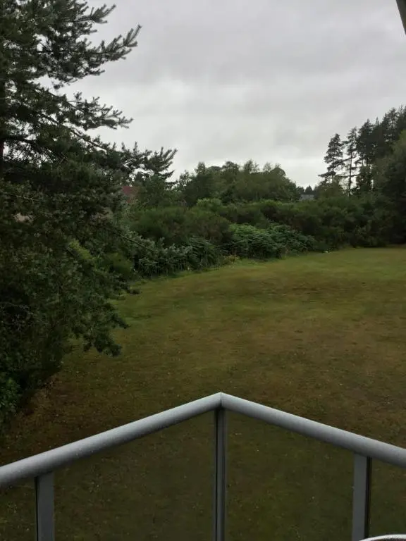 a view of a field with a fence and trees at Inchmarlo villa27 in Banchory