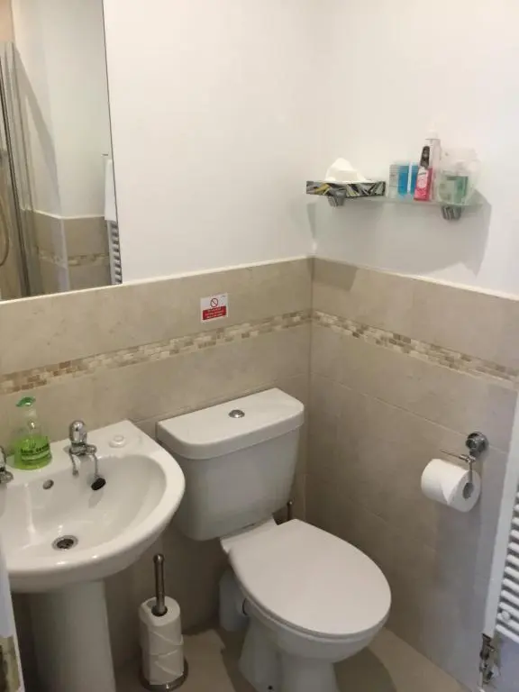a bathroom with a white toilet and a sink at Inchmarlo villa27 in Banchory