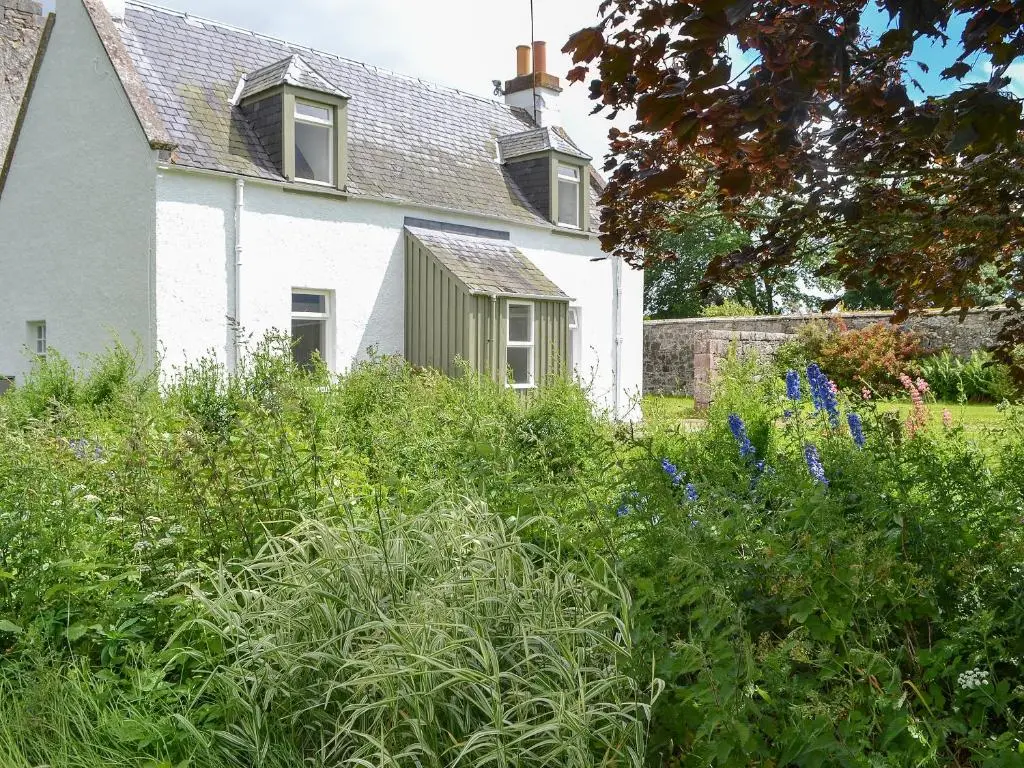 a white house with a lot of plants in front of it at Glebe Cottage in Urray
