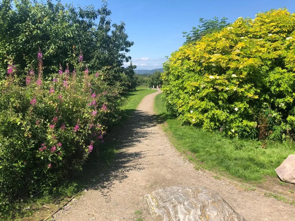 a path through a garden with flowers at One-Bedroom Apartment - Wyvis Free Parking in Inverness