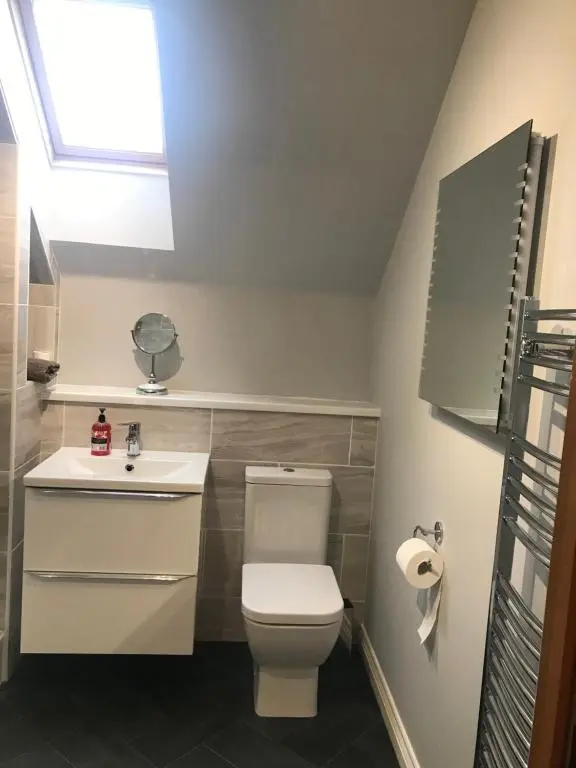 a bathroom with a toilet and a sink and a window at Cairngorm Mountain View in Aviemore