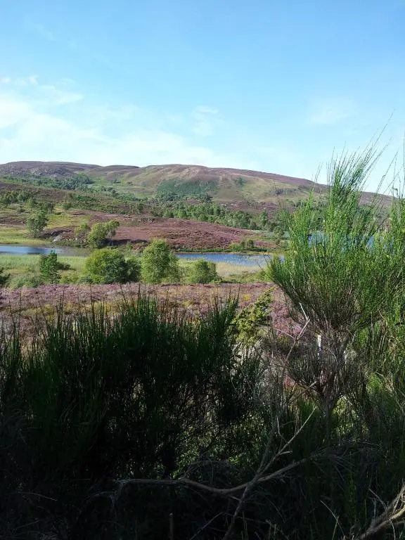 a river in the middle of a field with bushes at Kilmichael House in Drumnadrochit