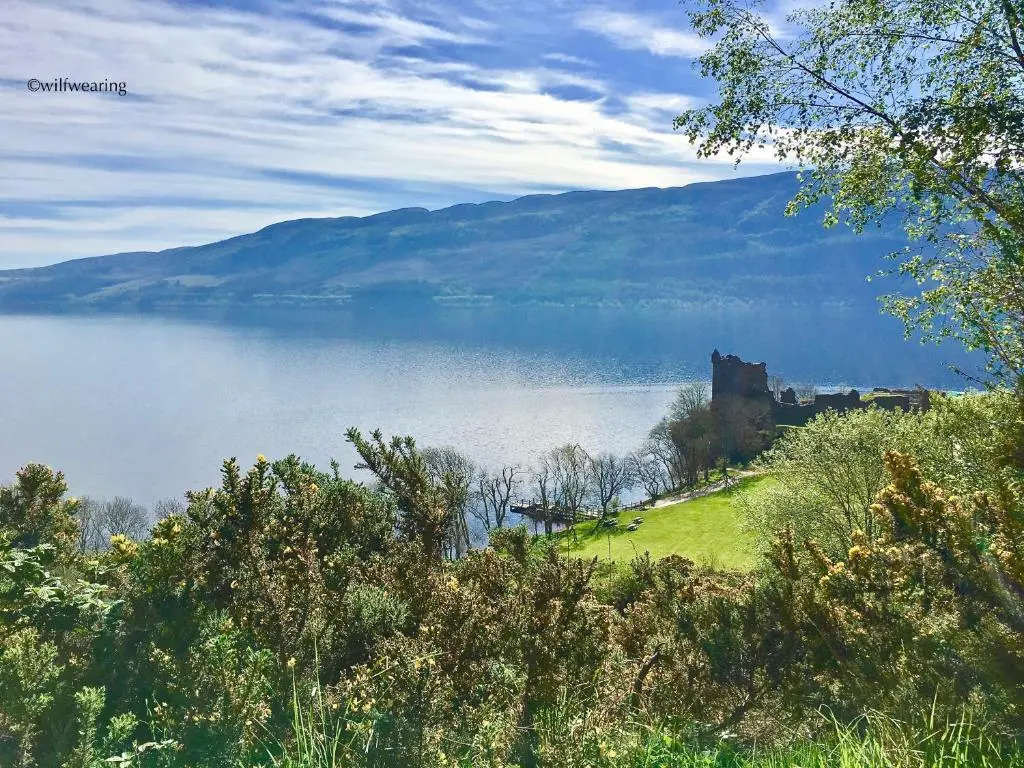 a castle on a hill next to a body of water at Forest View - Adults Only - Maximum 2 Guests in Drumnadrochit