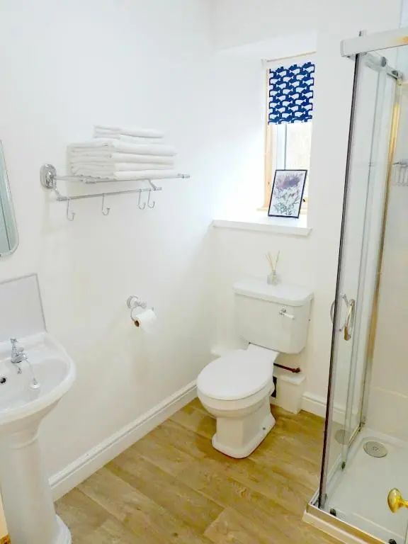 a white bathroom with a toilet and a sink at The \u2018Servants Quarters@Delny House\u2019 in Invergordon