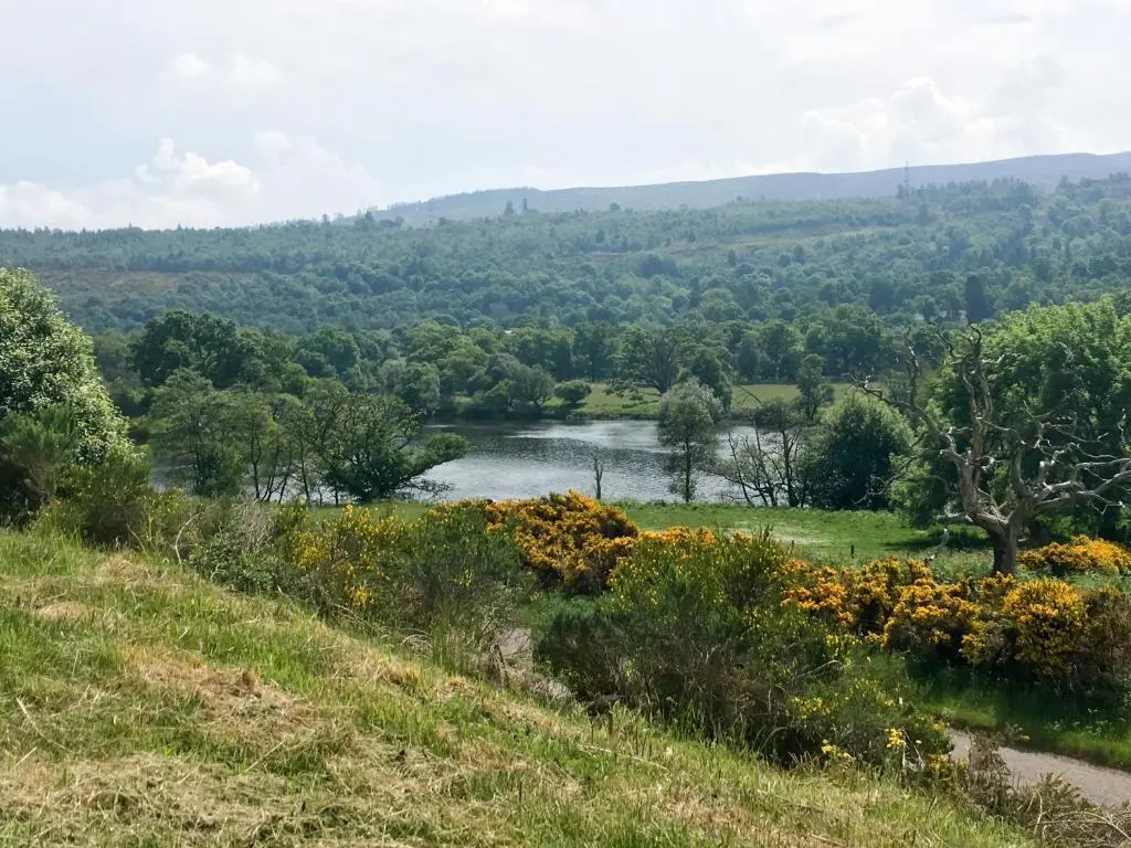 a view of a river from a hill with flowers at East Craigdhu Cow Byre in Beauly