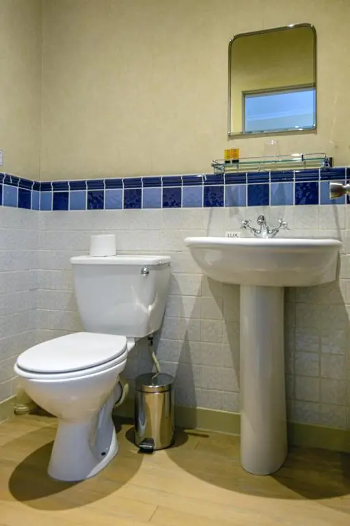 a bathroom with a toilet and a sink at The Portland Hotel in Lybster