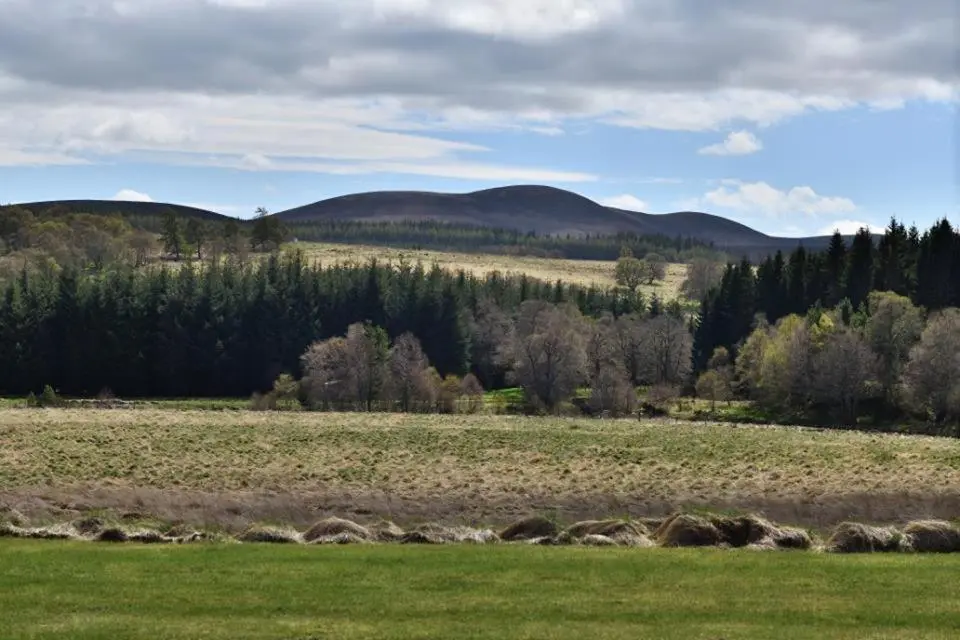 a green field with trees and mountains in the background at Knocklea in Alness