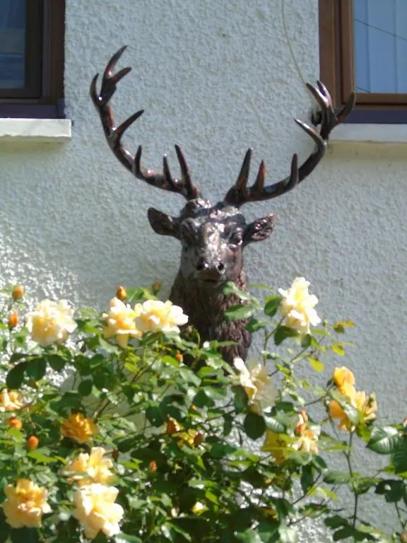 a statue of a deer head with antlers on a wall at Craik Na Dav B&B in Invermoriston
