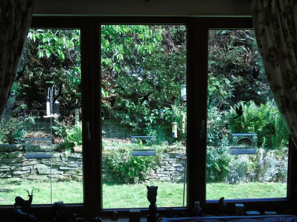 a cat sitting in a window looking out at a yard at Craik Na Dav B&B in Invermoriston