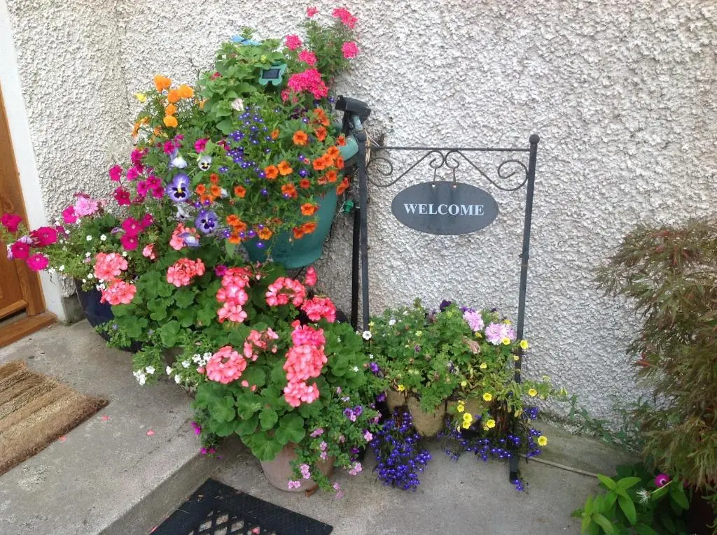 a bunch of flowers in a pot next to a wall at Furan GuestHouse in Inverness