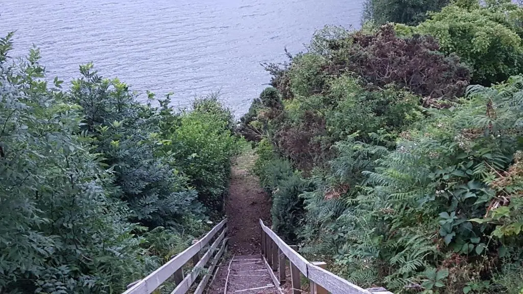 a dirt trail with trees and a body of water at Lochview Guest House in Ullapool