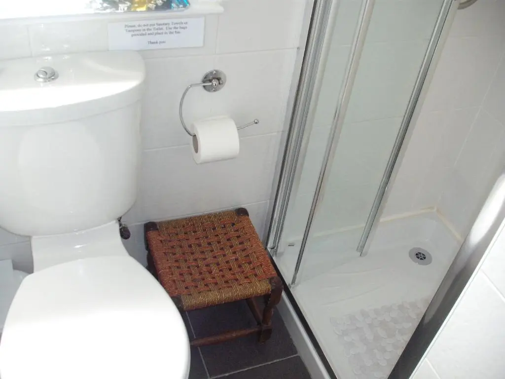 a bathroom with a shower and a toilet and a stool at Aslaich in Drumnadrochit
