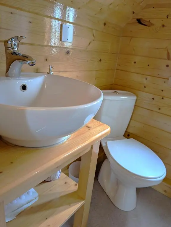 a bathroom with a sink and a toilet at Macbeth's Hillock in Forres