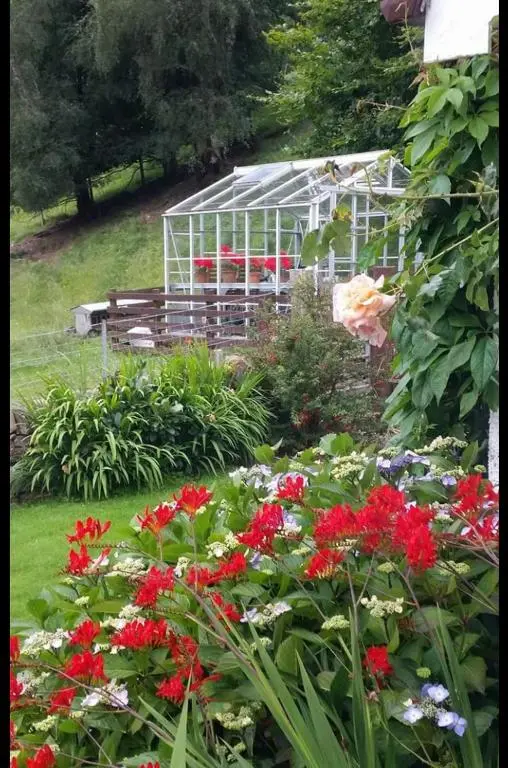 a garden with red flowers and a bench and a greenhouse at Clachan Farmhouse B & B in Ullapool
