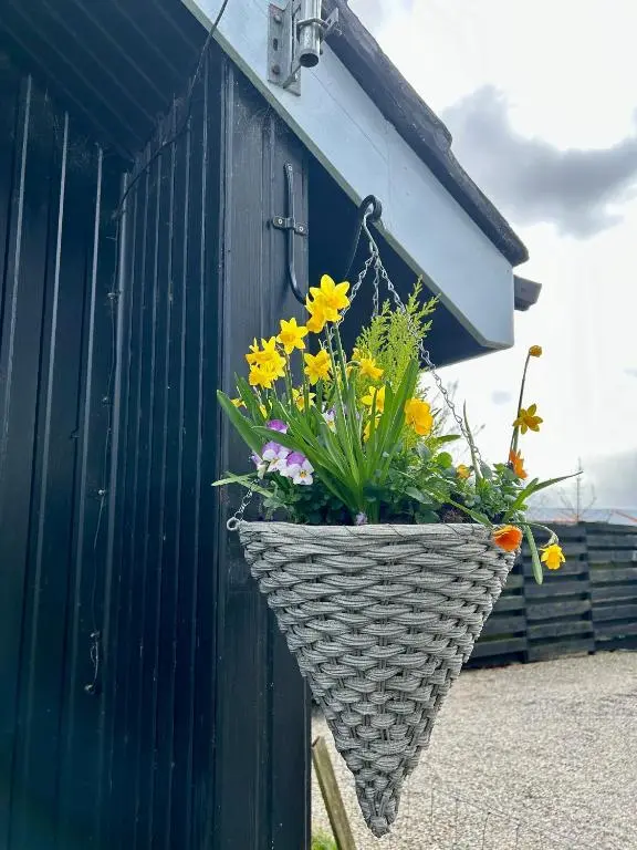 a basket of flowers hanging on the side of a building at Kilcoy Chalets in Muir of Ord