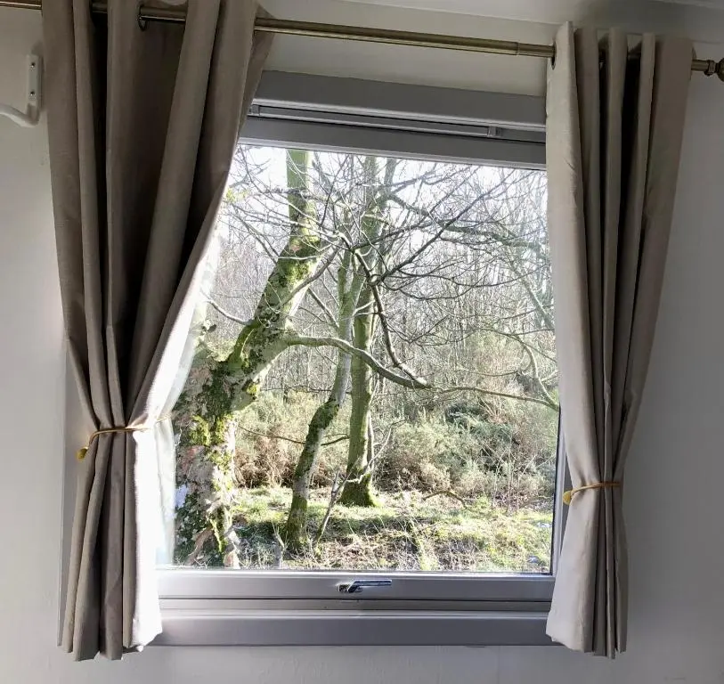 a window with a view of a tree at Kilcoy Chalets in Muir of Ord