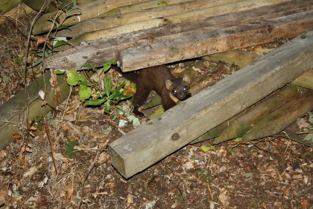 a wooden bench sitting on top of the ground at Ardgarry Farm in Invergarry