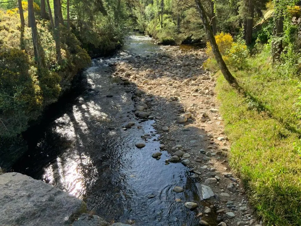 a stream of water with rocks in a forest at Coylumbridge Cottage in Aviemore