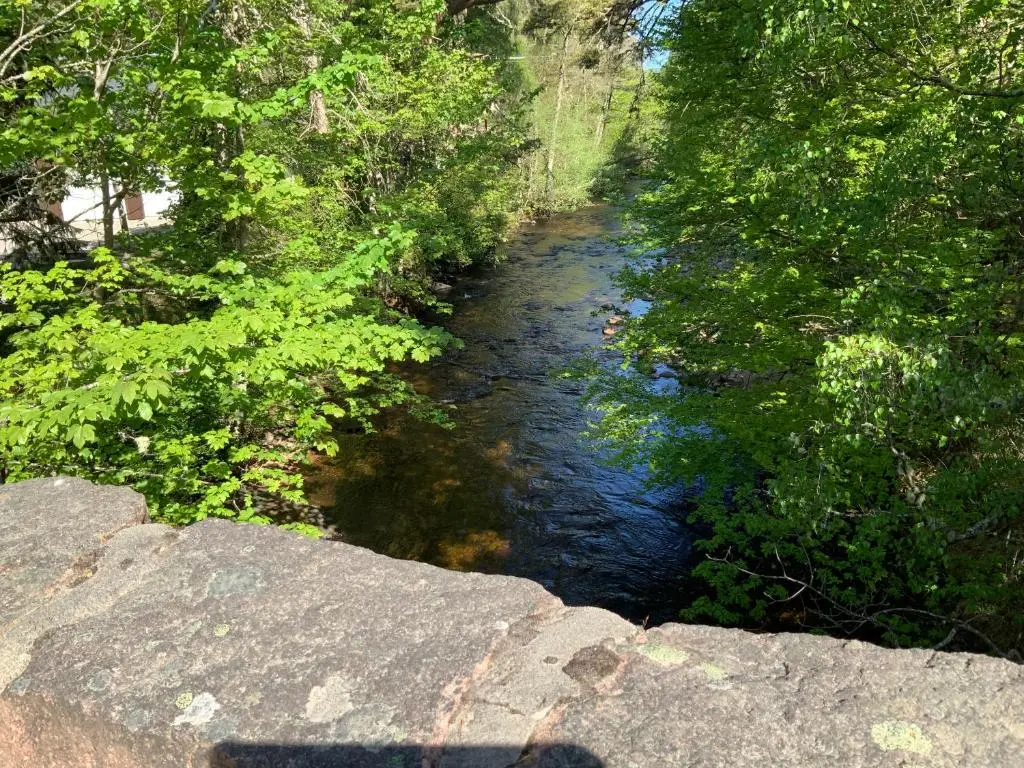 a stream of water with trees and rocks at Coylumbridge Cottage in Aviemore