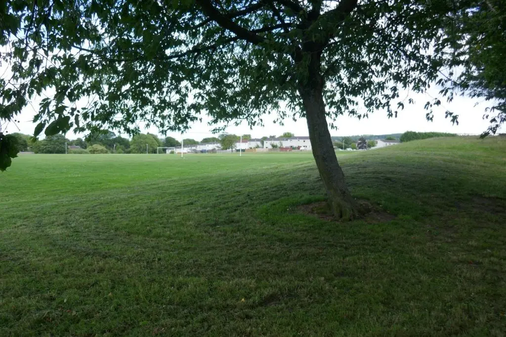 a tree in the middle of a green field at Inverness Family House in Inverness
