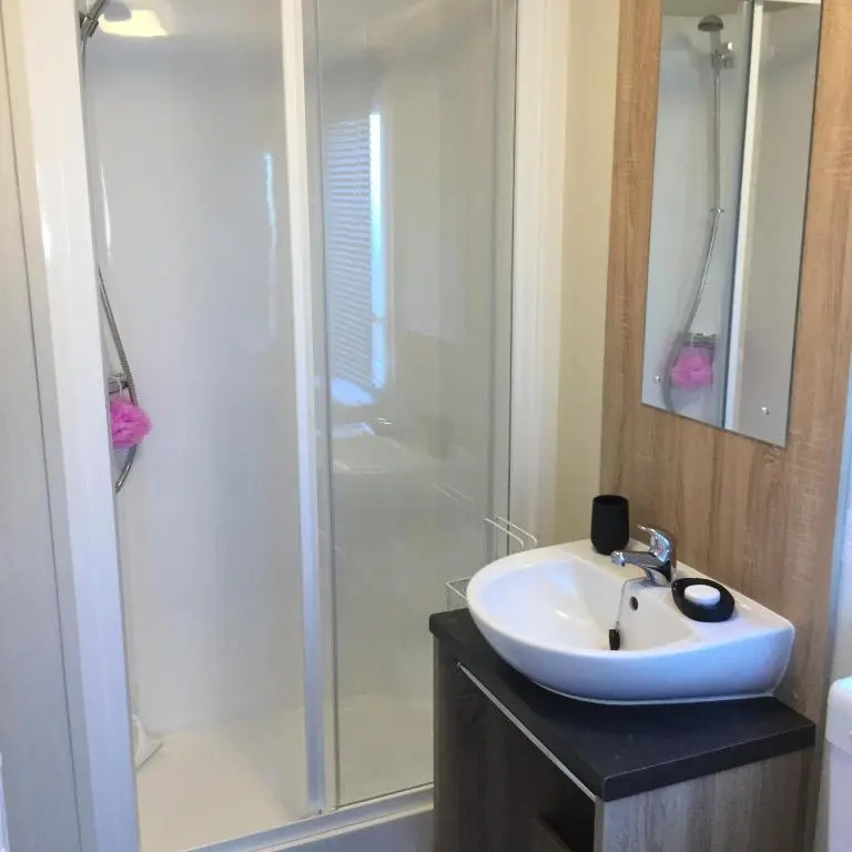 a bathroom with a sink and a shower at Poppy Lodge in Boat of Garten