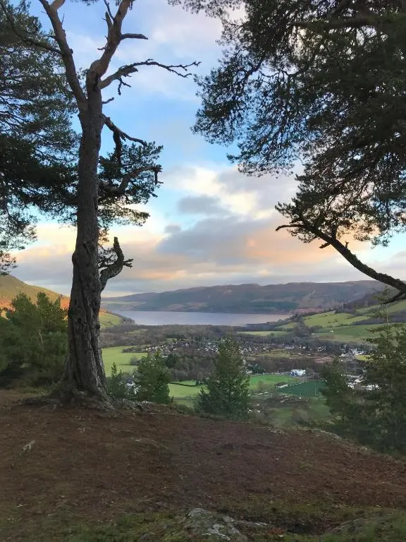 a tree on top of a hill with a view at Ridgewood Apartment in Drumnadrochit