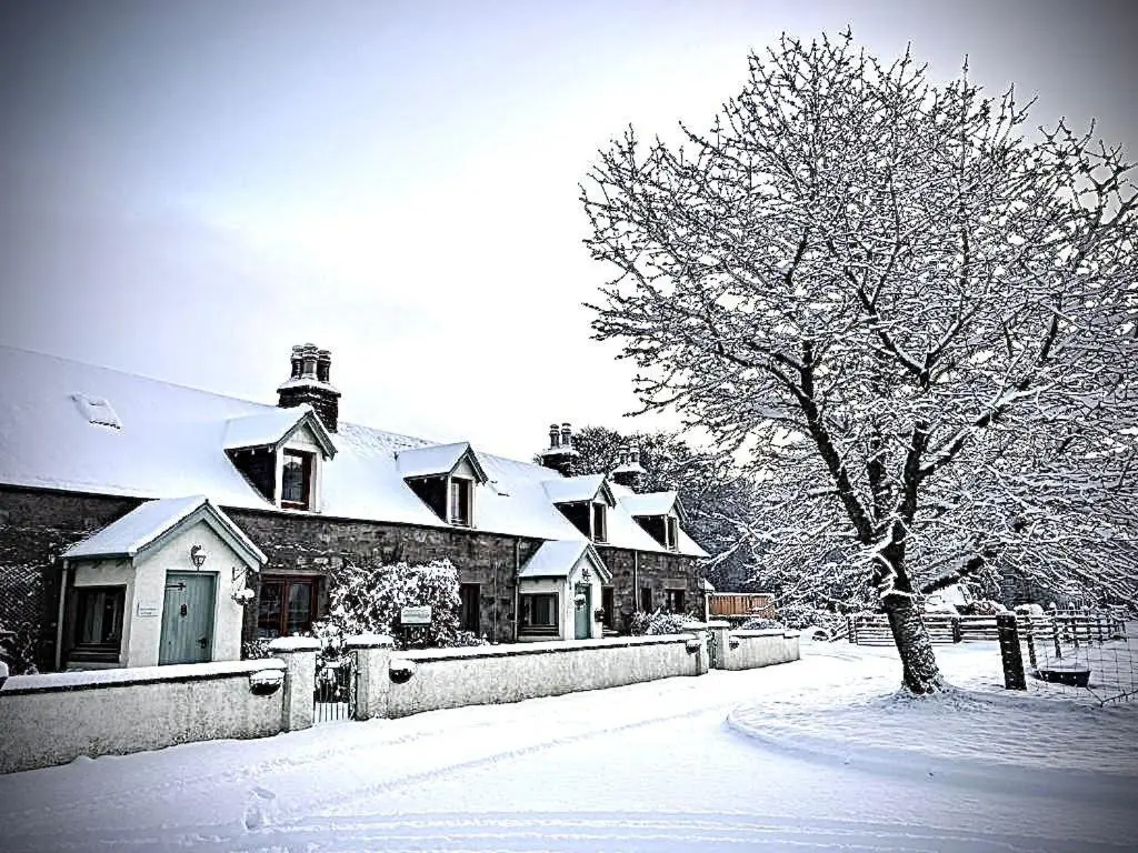 a snow covered yard with a house and a tree at Rosemount Bothy - Highland Cottage in Garve