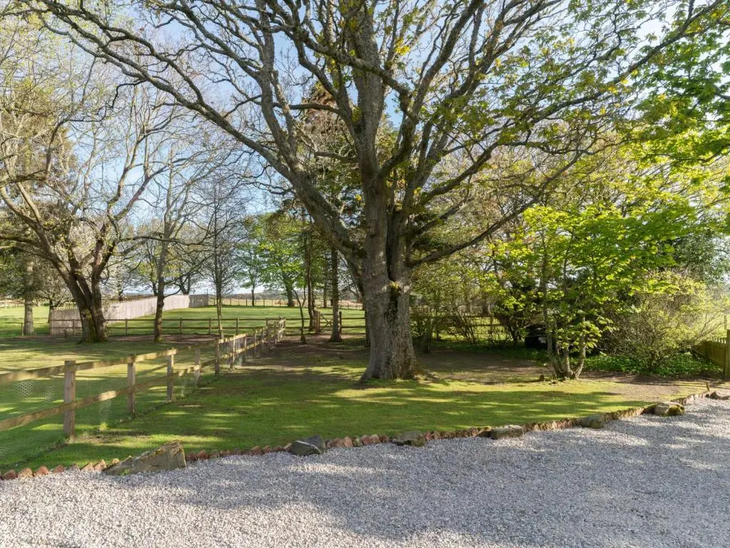 a tree in a field next to a fence at Garden Cottage in Tain