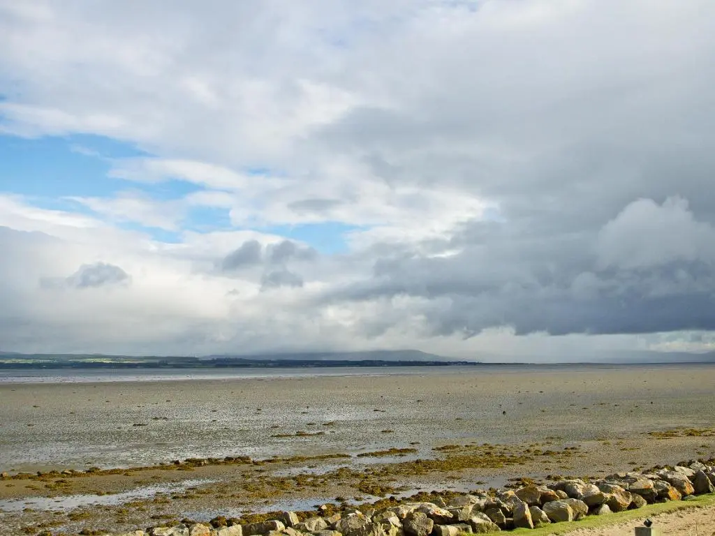 a beach with a flock of sheep in the water at Garden Cottage in Tain