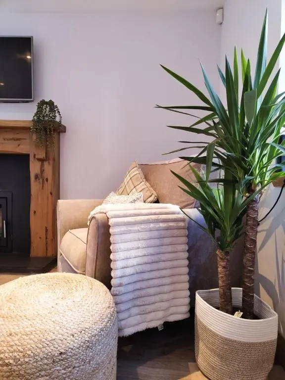 a living room with a couch and two palm trees at Portknockie 17 Harbour Place in Portknockie