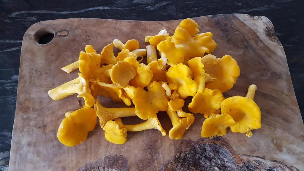 a pile of food on a wooden cutting board at Wester Blackpark Farm in Inverness