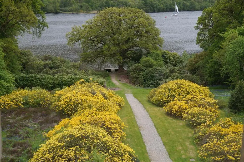 a path through a garden with yellow flowers at Glengarry Castle Hotel in Invergarry