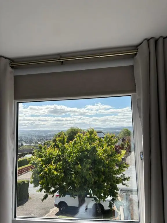 a window with a tree in a room at No.9 in Inverness