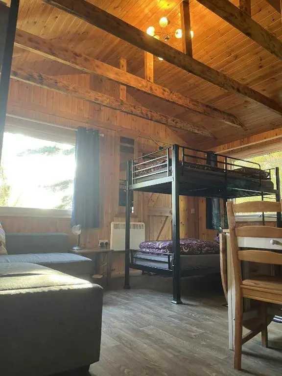 a bedroom with bunk beds in a wooden room at Pine Marten Bar Glenmore Treehouse in Aviemore