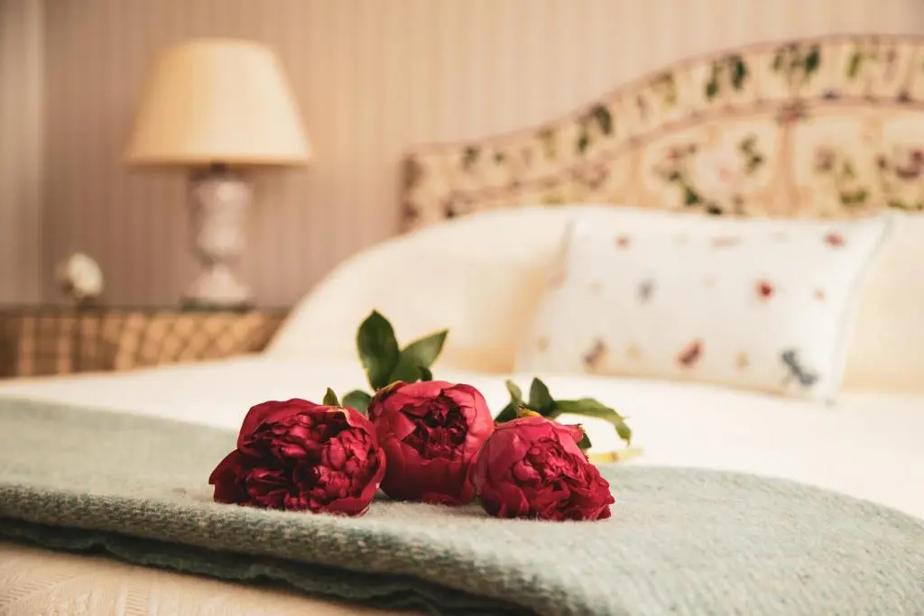 two red roses sitting on top of a bed at Balnagown Estates in Kildary