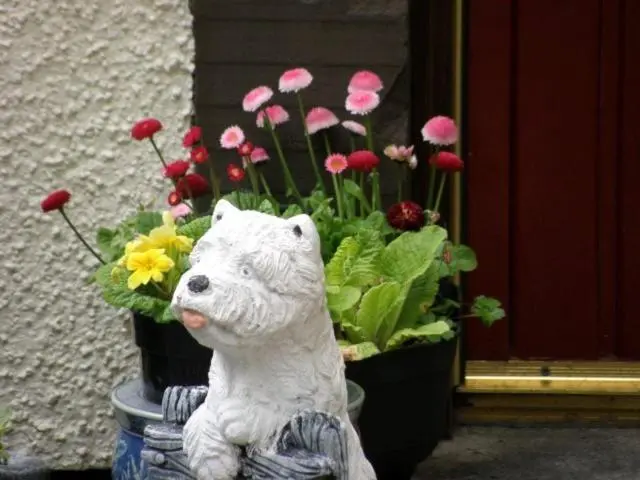 a white bear statue sitting next to a flower pot at Kettle House B&B in Fort Augustus