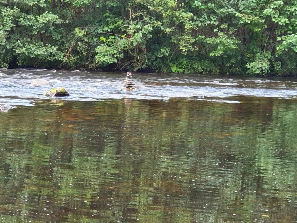 a bird standing in the water in a river at River Cottage Hot tub spa in Drumnadrochit