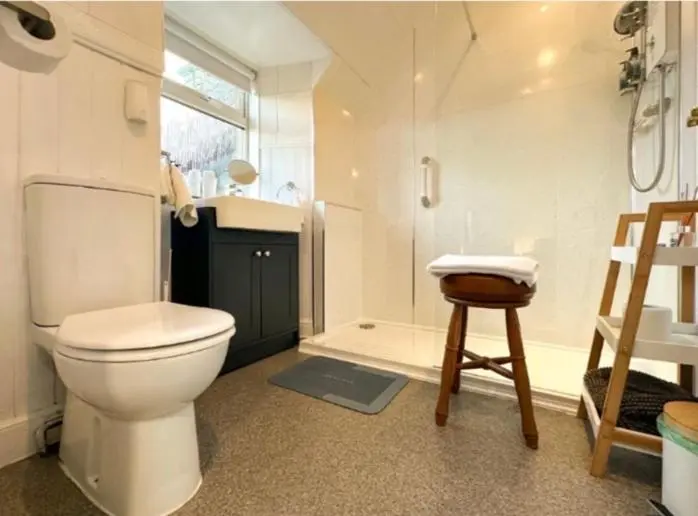 a bathroom with a toilet and a shower and a stool at Clune House B&B in Newtonmore