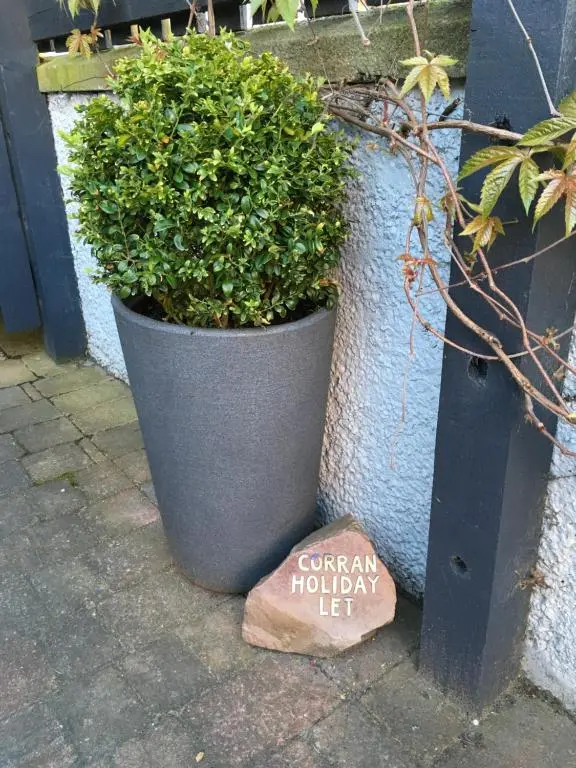 a plant in a pot sitting next to a wall at Corran Cottage in Inverness