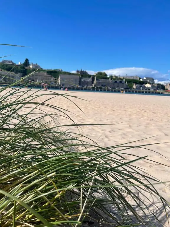 a view of a sandy beach with a grass at The Jewel of the Moray Firth in Lossiemouth