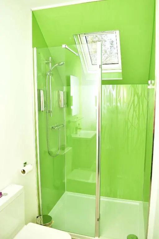 a green bathroom with a shower and a toilet at Lycia Rooms + in Inverness
