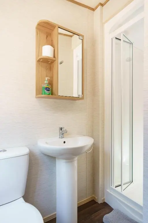 a bathroom with a sink and a toilet at Ruapehu Lodge in Aviemore