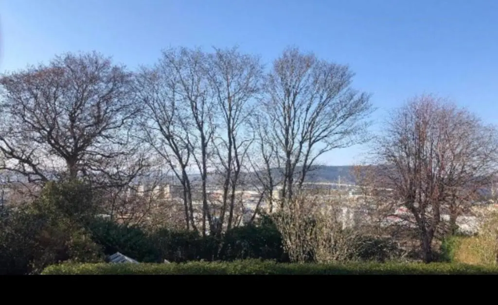 a group of trees in a field with a view at Period House / Entire Upstairs Flat in Inverness