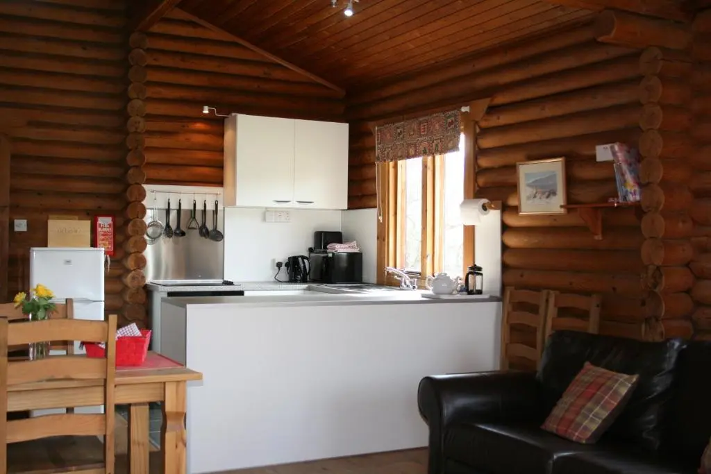 a kitchen with a refrigerator and a counter in a room at Highgarry Lodges in Invergarry