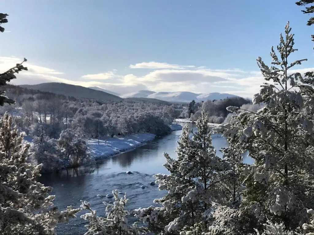 a river with snow on the branches of trees at Courtyard Bothy in Grantown on Spey
