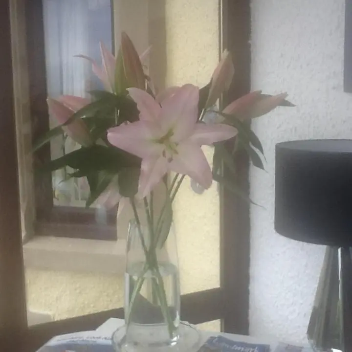 a vase with pink flowers sitting on a table at "Stunning Sea-Views" at Wetherby Nairn in Nairn