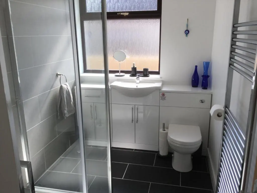 a bathroom with a shower and a sink and a toilet at Lesanne Cottage in Inverness