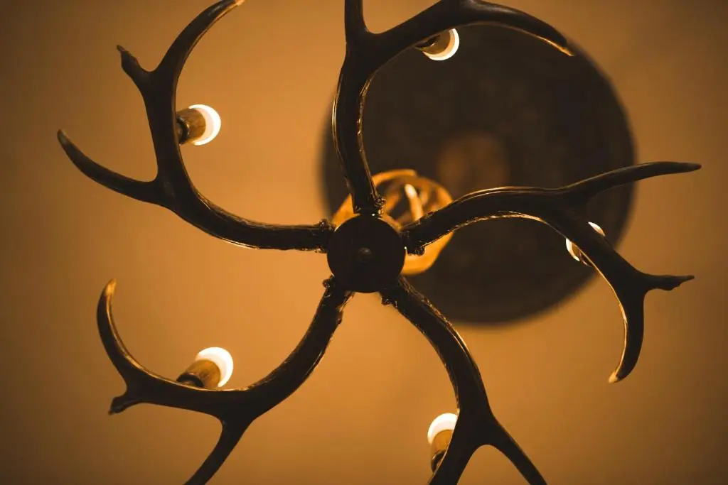 a chandelier with antlers on a wall at STAG City Centre apartment in Inverness