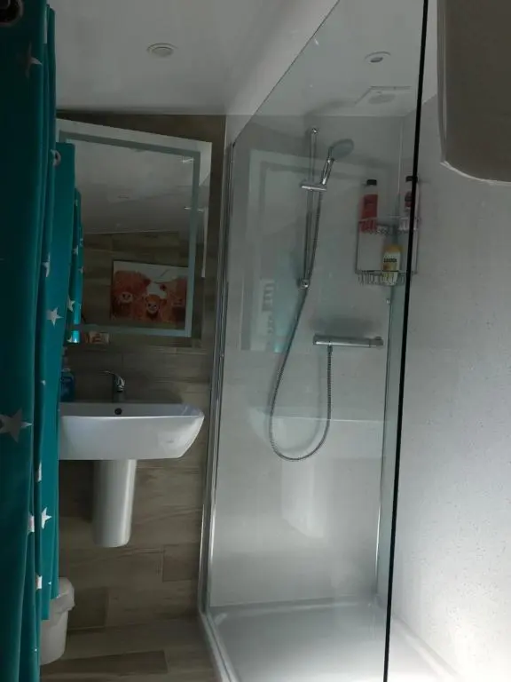 a bathroom with a shower and a sink at Inchrye Bed & Breakfast in Inverness