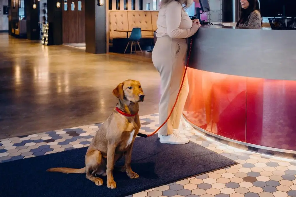 a woman standing next to a dog on a leash at Aloft Aberdeen TECA in Aberdeen